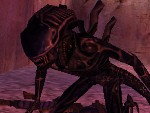 alien2.jpg