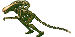aliendrone4.gif