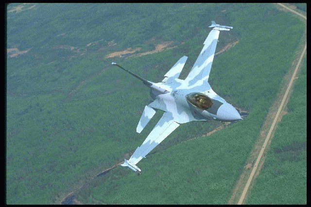 f16treesturn.jpg