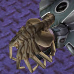 facehugger5.jpg