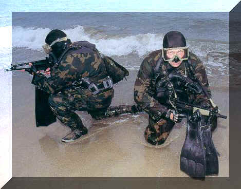 sealbeach.jpg