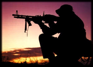 sealsunset.jpg